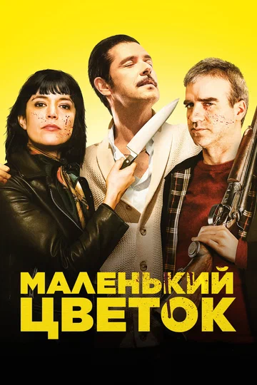 Постер: Маленький цветок
