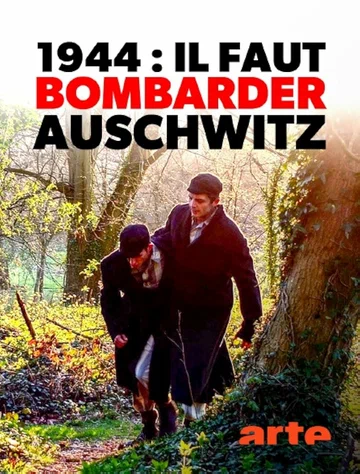 Постер: 1944: Bomben auf Auschwitz?