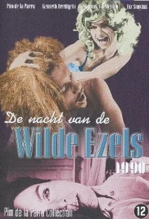Постер: De nacht van de wilde ezels