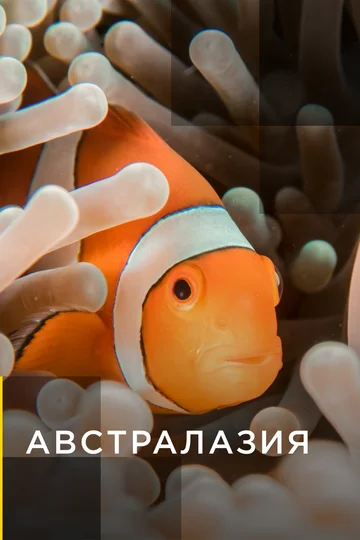 Постер: Австралазия