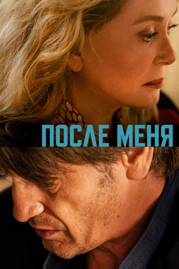Постер: После меня