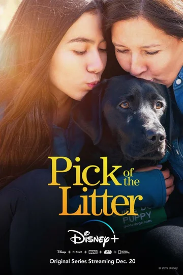 Постер: Pick of the Litter