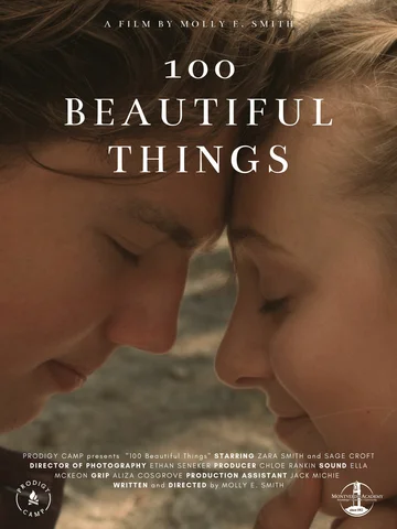 Постер: 100 Beautiful Things
