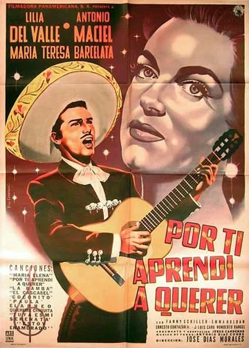 Постер: Por ti aprendí a querer