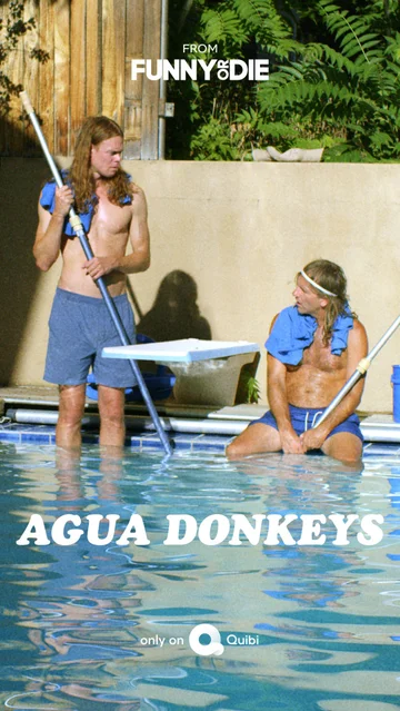 Постер: Agua Donkeys