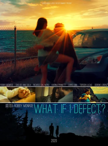 Постер: What if I Defect?