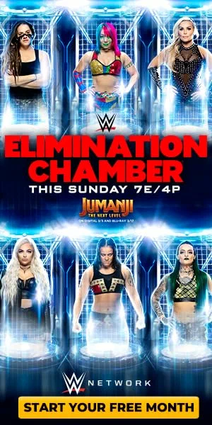 Постер: WWE Камера ликвидации