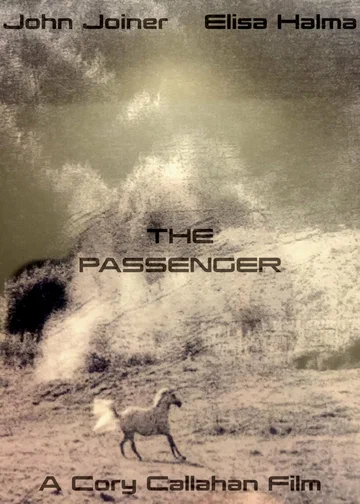 Постер: The Passenger