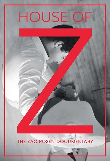 Постер: Дом Z