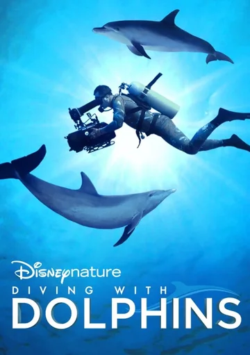 Постер: Diving with Dolphins