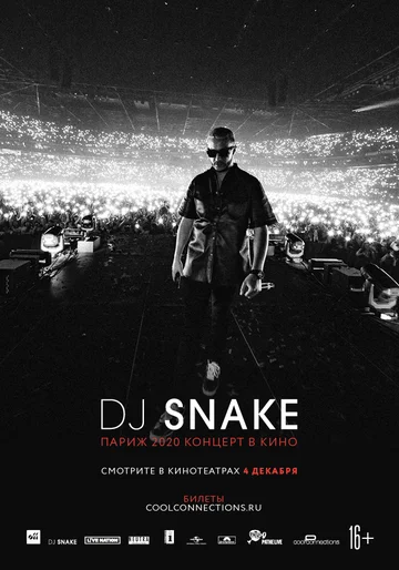 Постер: DJ SNAKE: Париж 2020. Концерт в кино