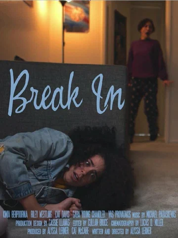 Постер: Break In