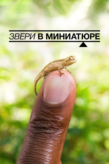Постер: Звери в миниатюре