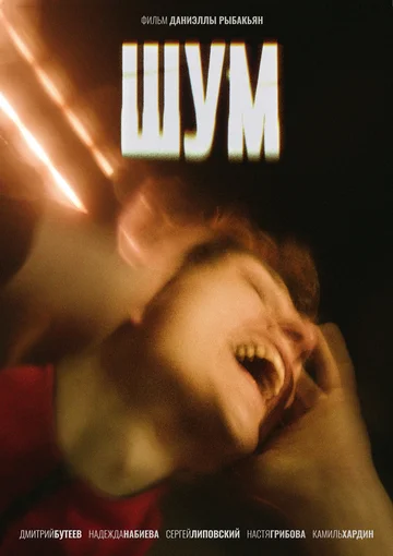 Постер: Шум