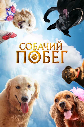 Постер: Собачий побег