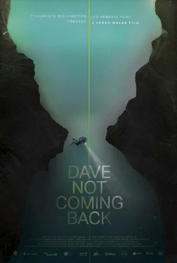 Постер: Dave Not Coming Back
