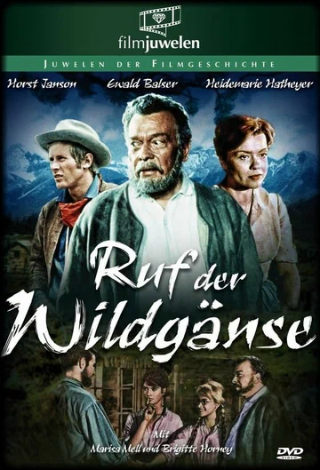 Постер: Ruf der Wildgänse