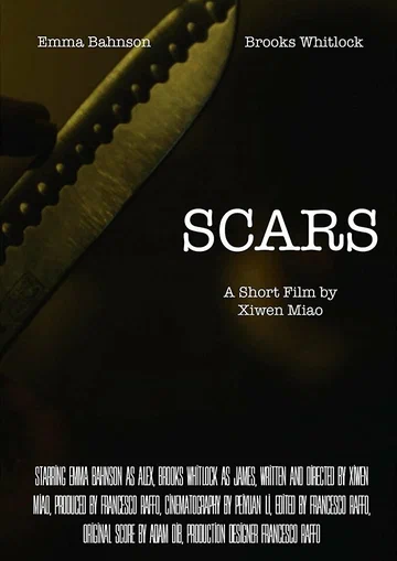Постер: Scars