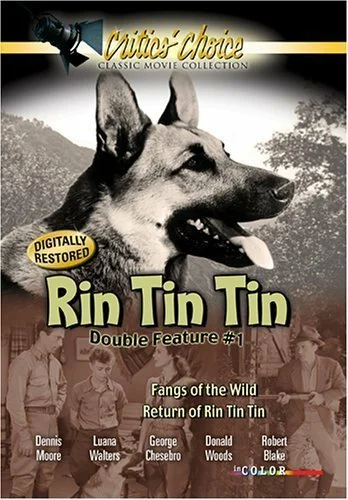 Постер: The Return of Rin Tin Tin