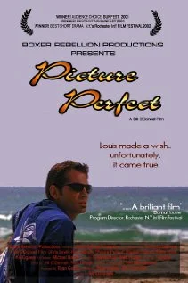 Постер: Picture Perfect