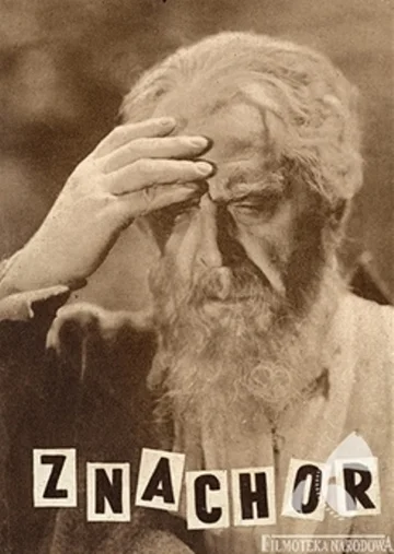 Постер: Знахарь