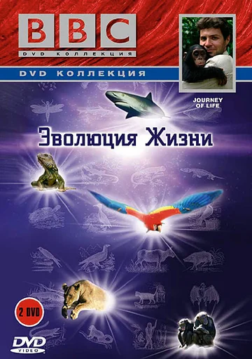 Постер: BBC: Эволюция жизни