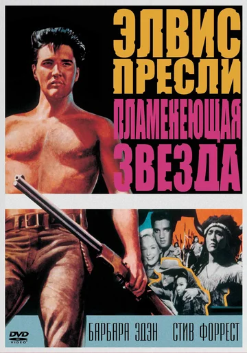 Постер: Пламенеющая звезда