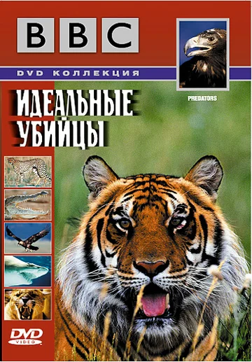 Постер: BBC: Идеальные убийцы