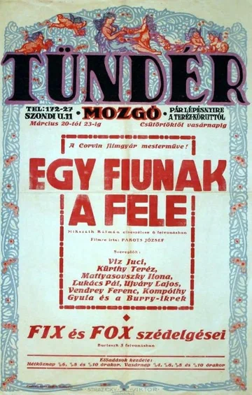 Постер: Egy fiúnak a fele