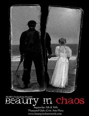 Постер: Beauty in Chaos