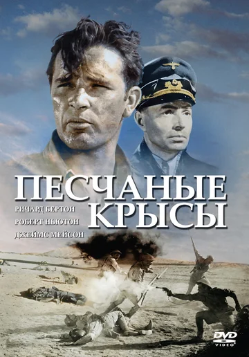Постер: Песчаные крысы