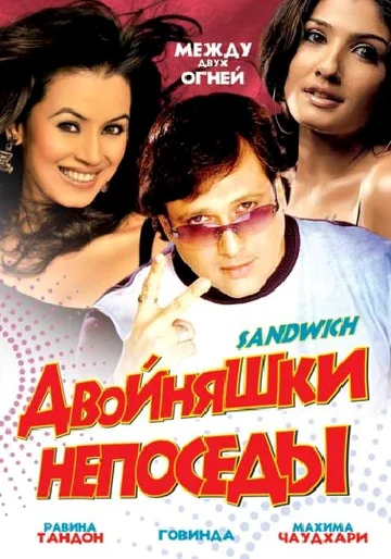 Постер: Двойняшки непоседы