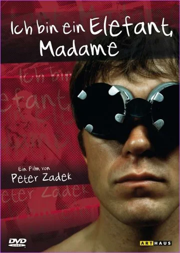 Постер: Я слон, мадам