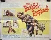 Постер: The Bashful Elephant