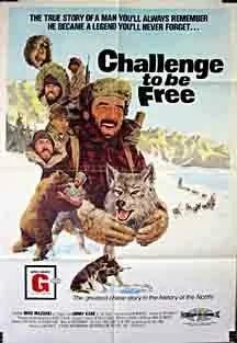 Постер: Challenge to be Free