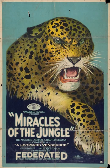 Постер: Miracles of the Jungle