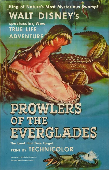 Постер: Prowlers of the Everglades