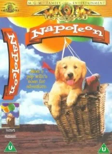 Постер: Napoleon