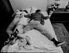 Постер: Crash Pad!