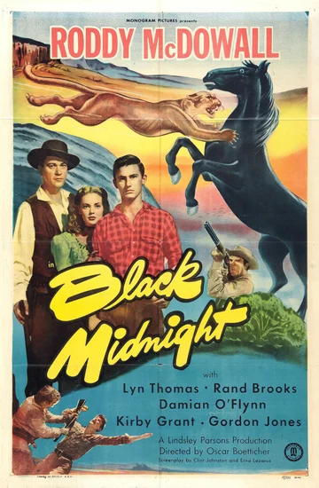 Постер: Black Midnight