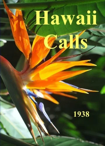 Постер: Hawaii Calls