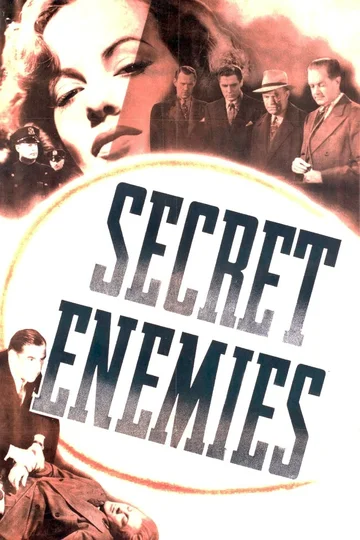 Постер: Secret Enemies
