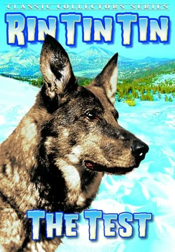 Постер: The Test