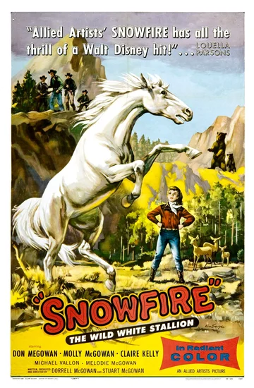 Постер: Snowfire