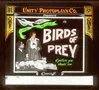 Постер: Birds of Prey