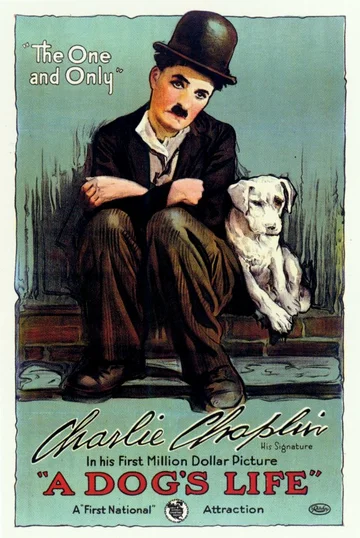 Постер: Собачья жизнь