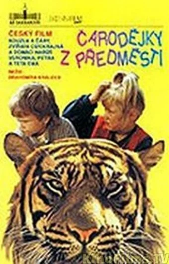 Постер: Чародейки из предместья