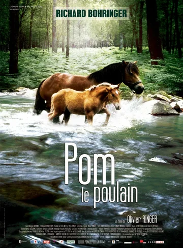 Постер: Pom, le poulain