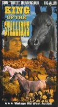Постер: King of the Stallions