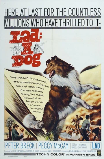 Постер: Lad: A Dog